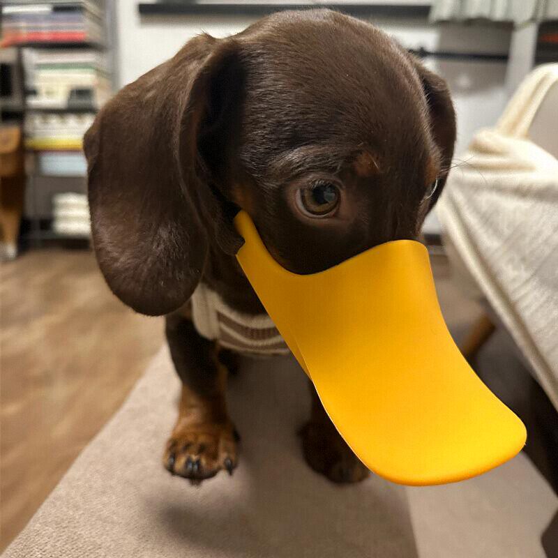 Dog Muzzle Silicone - Muselière en silicone pour chiens de