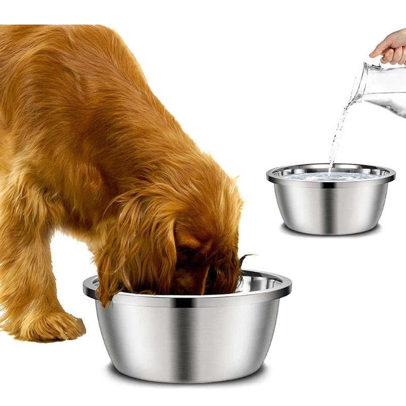 Royal Canin Food Medium - Mangeoires rondes en acier inoxydable pour