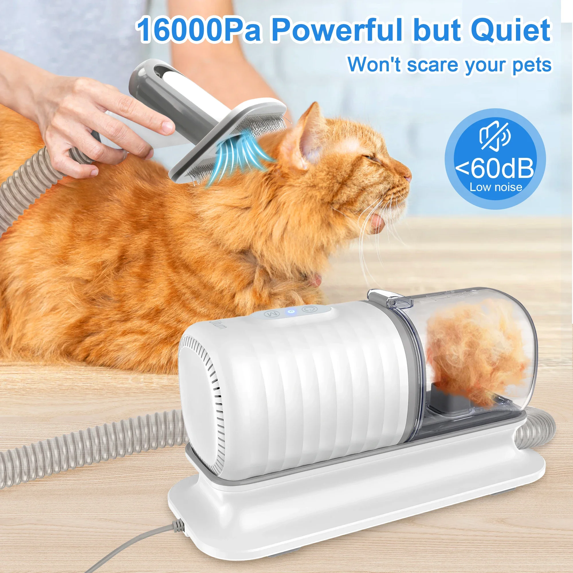 Ensemble de brosses pour le ba - Pet Supplies In Store avis et prix
