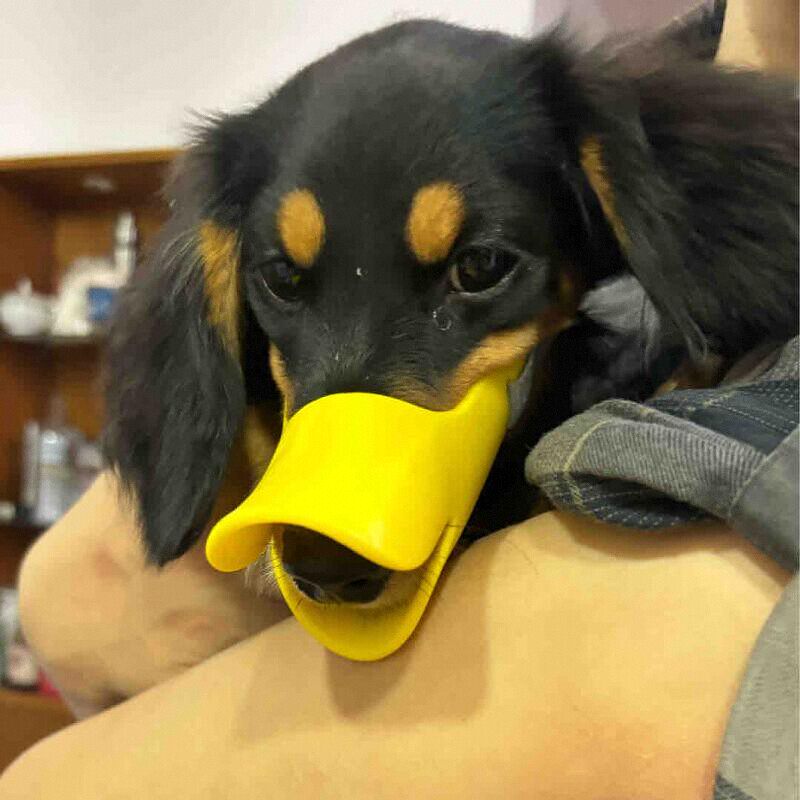 Muselière en silicone pour chi - Dog Muzzle Silicone avis et prix