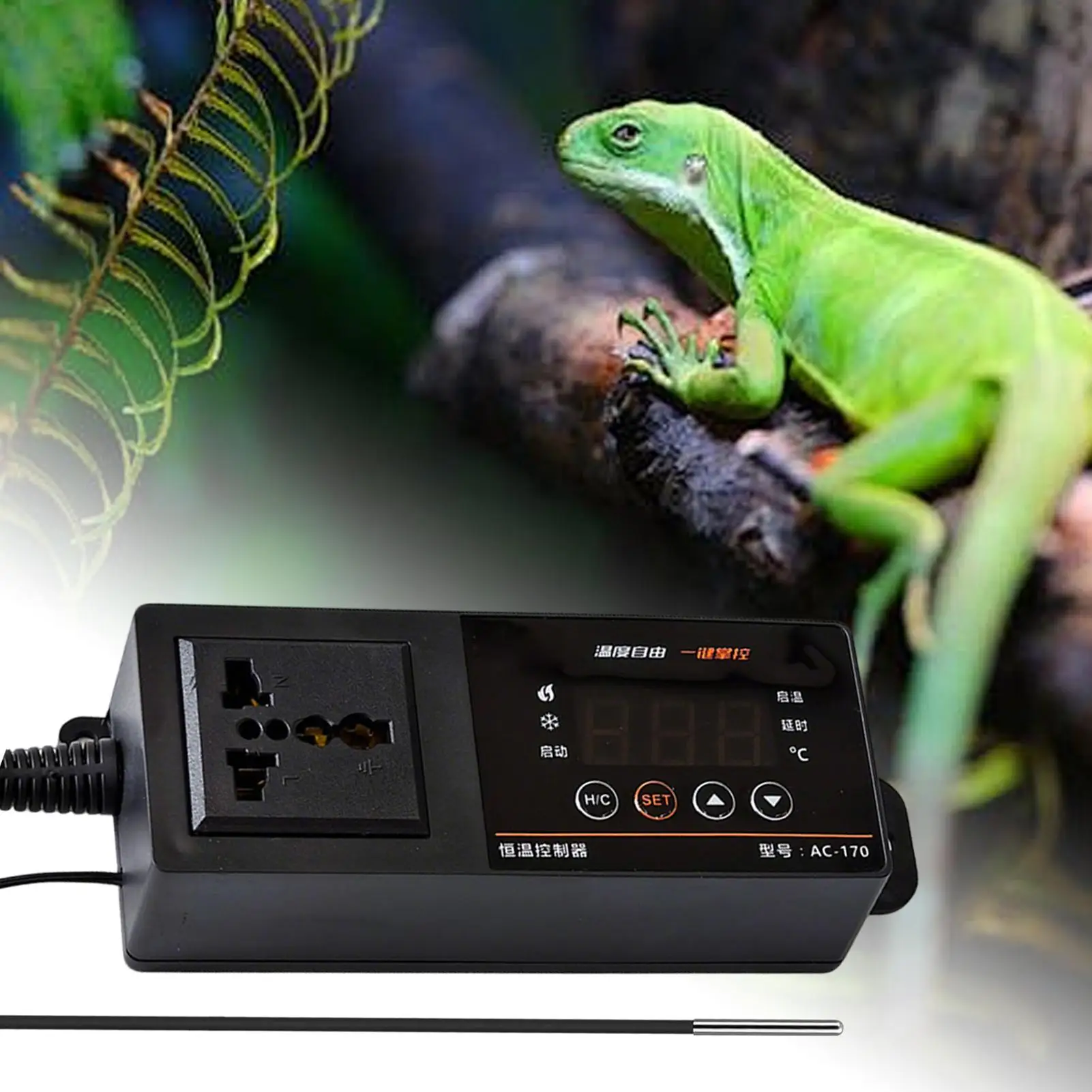 Thermostat pour terrarium de r - Pet Supplies In Uk avis et prix