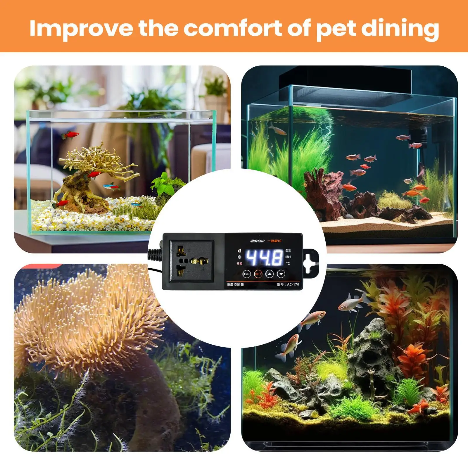 Thermostat pour terrarium de r - Pet Supplies In Uk avis et prix