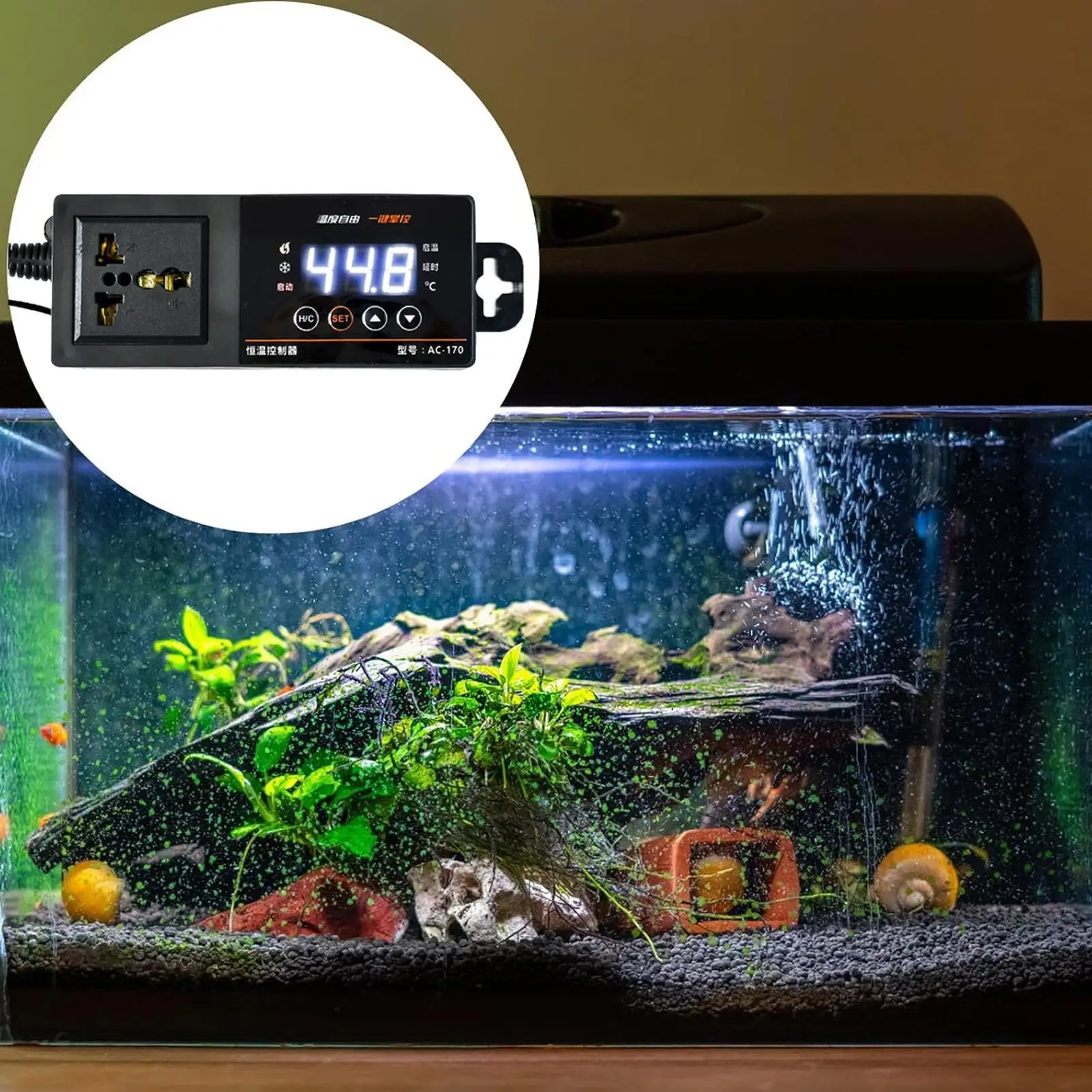 Thermostat pour terrarium de r - Pet Supplies In Uk avis et prix