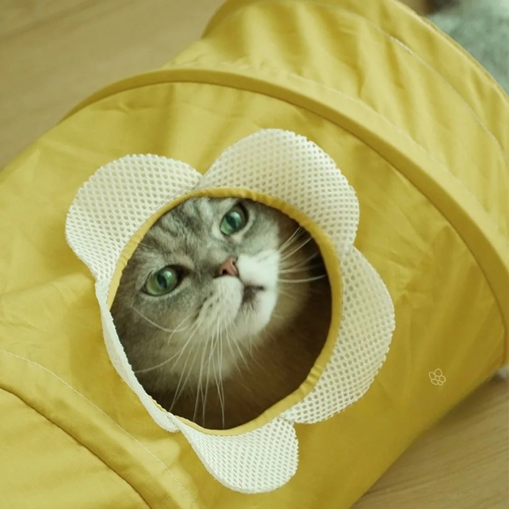 Tunnel pliable portable en spi - Pet Supplies In Store avis et prix