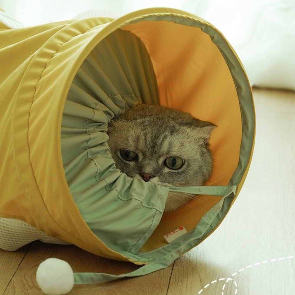 Tunnel pliable portable en spi - Pet Supplies In Store avis et prix