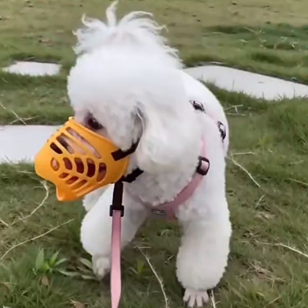 Accessoires pour chiens : Muse - Dog Muzzle Silicone avis et prix