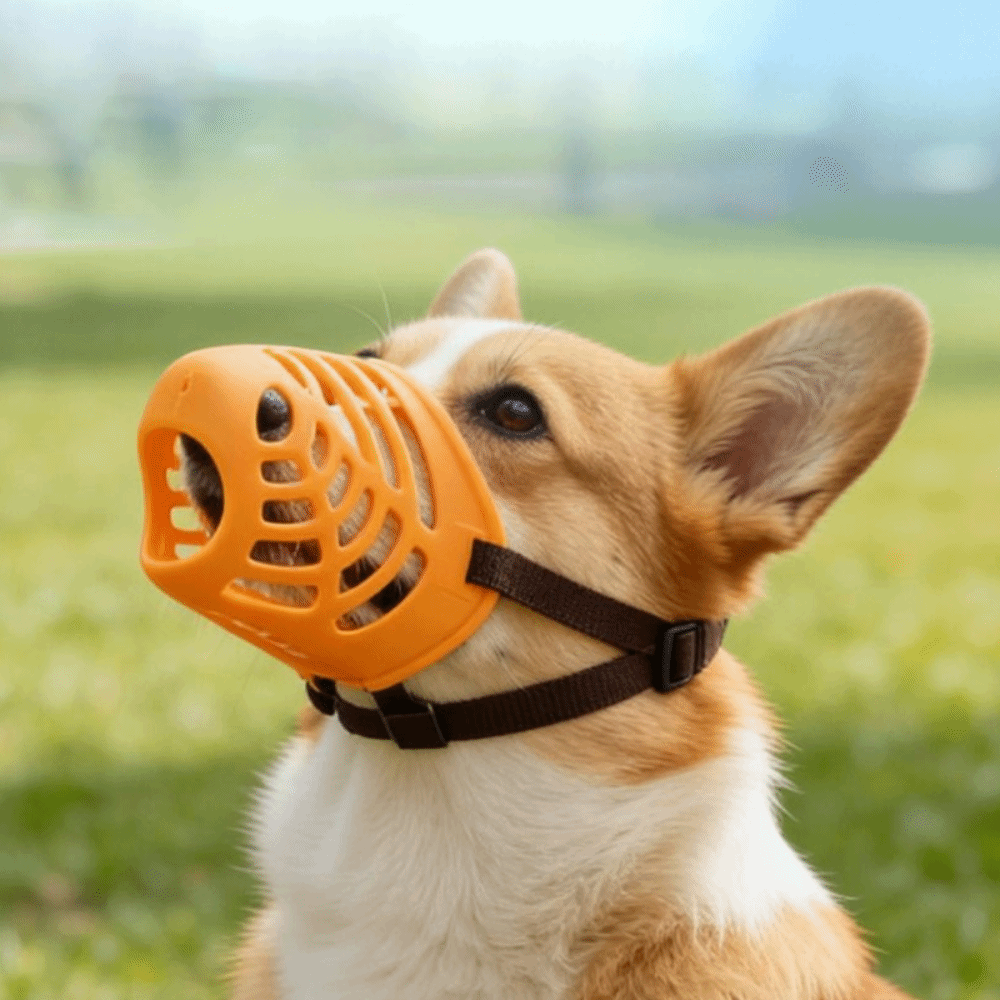 Accessoires pour chiens : Muse - Dog Muzzle Silicone avis et prix