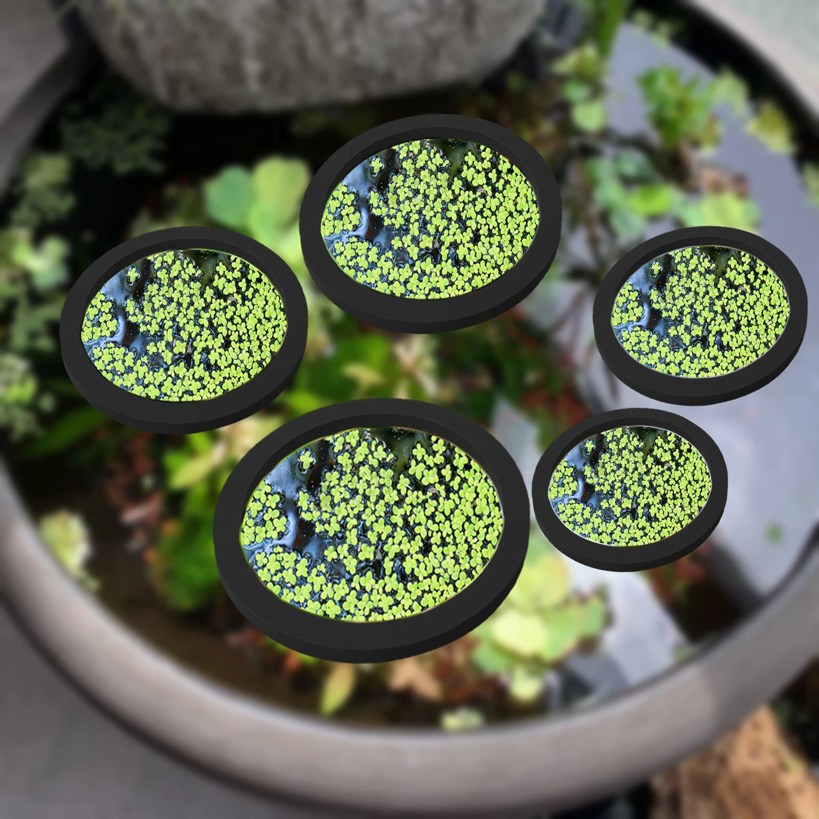 Anneaux d'Alimentation pour Aq - Aquarium Fish Tank avis et prix