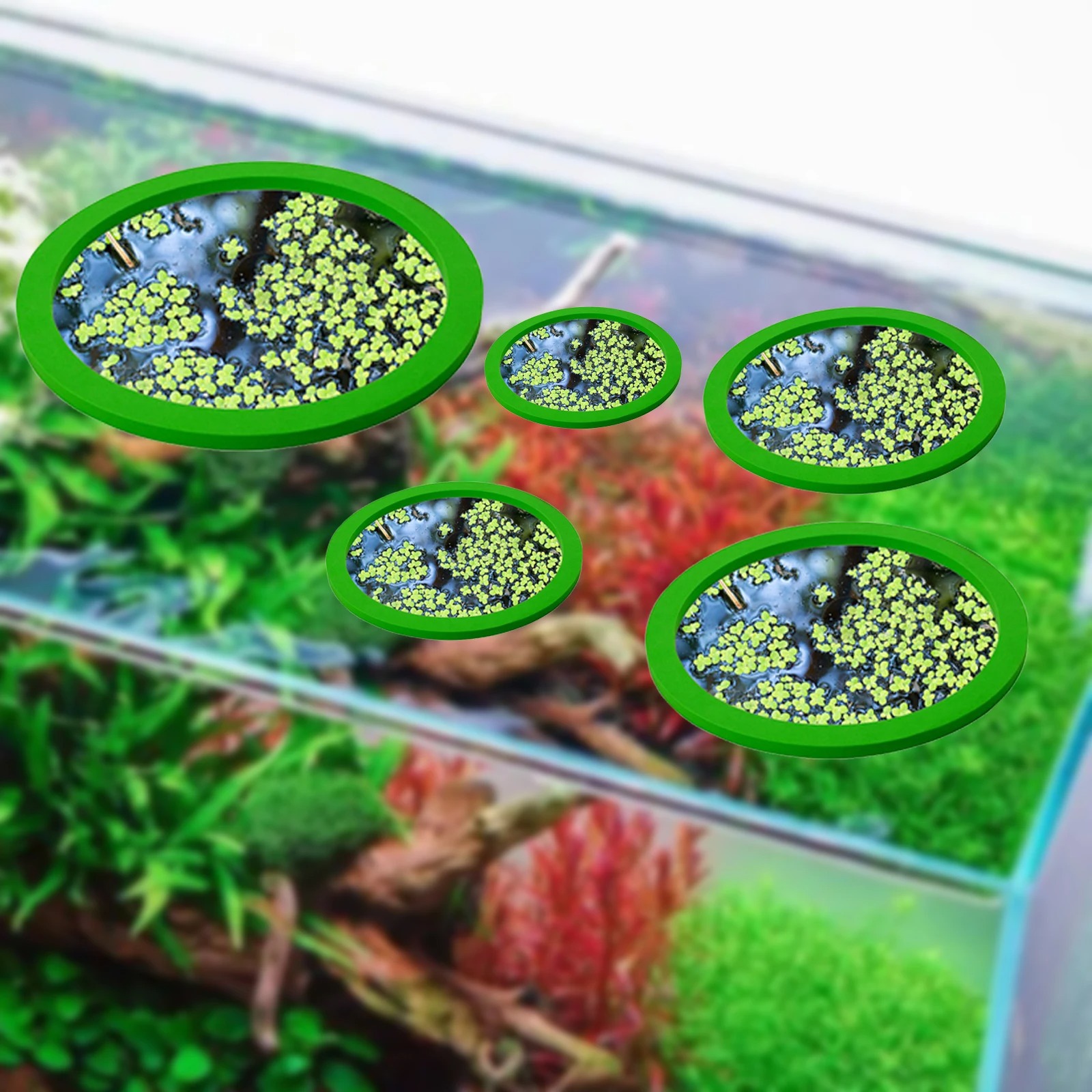 Anneaux d'Alimentation pour Aq - Aquarium Fish Tank avis et prix