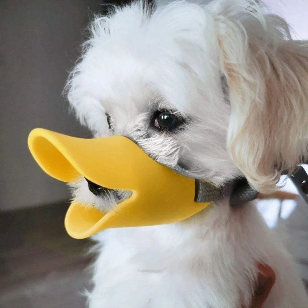 Muselière anti-morsure en sili - Dog Muzzle Silicone avis et prix