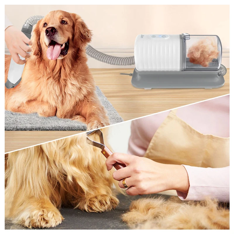Ensemble de brosses pour le ba - Pet Supplies In Store avis et prix