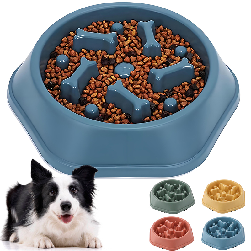 Bol pour chien à alimentation  - Royal Canin Food Medium avis et prix