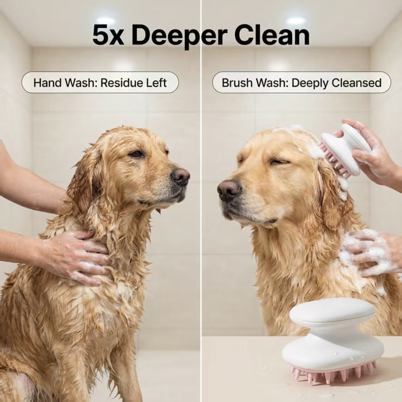 Brosse de massage et de nettoy - Pet Supplies In Store avis et prix