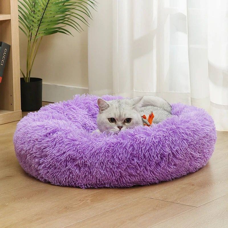 Lit pour chien en coton moelle - Pet Supplies Australia avis et prix