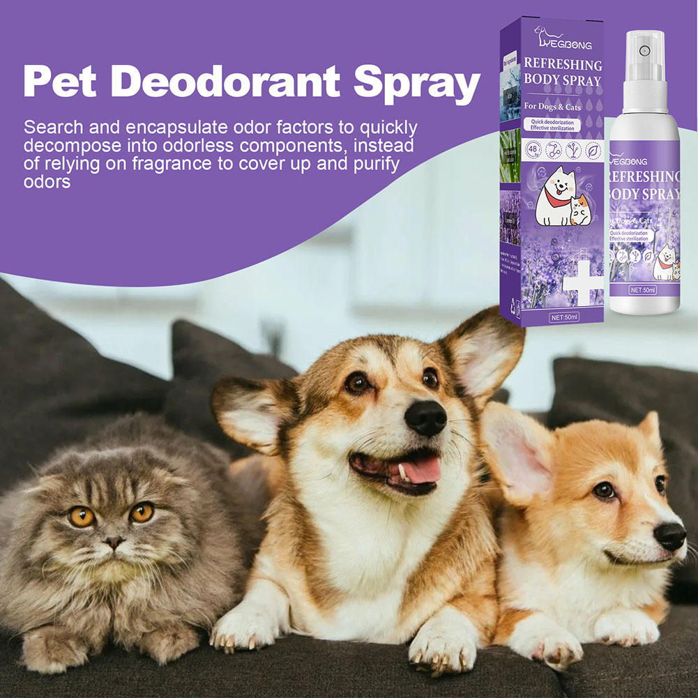 Spray désodorisant pour chien, - Pet Supplies In Store avis et prix